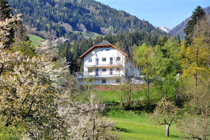 Haus Pflaum Apartment Dellach im Drautal Exterior photo